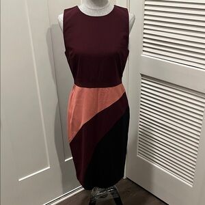 Ann Taylor Burgundy and Pink Asymmetrical Dress